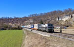 193 202 mit einem KLV am 22.03.2022 bei Hagenacker.