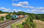 193 251 mit einem Containerzug am 26.07.2022 bei Laaber.