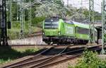 193 604-6 D-DISPO mit Flixtrain FLX 30 / FLX 82042 nach Köln Hbf | Berlin - Gesundbrunnen | Mai 2023