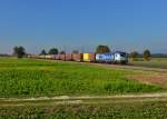 193 883 mit DGS 41139 am 12.10.2015 bei Langenisarhofen.