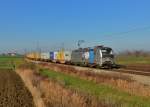 193 804 mit einem Containerzug am 07.12.2015 bei Unternberg.