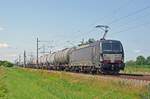 Am 18.07.21 schleppte 193 859 der MRCE einen Kesselwagenzug durch Braschwitz Richtung Magdeburg.