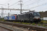 Am 13.09.2022 schleppt die Siemens Vectron 193 662-4 die Re 474 004-9 und die Siemens Vectron 193 531-1 durch den Bahnhof Pratteln.