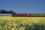 DB 103 154 hat soeben den dnischen Grenzbahnhof Padborg verlassen und befindet sich jetzt mit ihrem Interregio in Hhe des Grenzkruges  Zur Krone  auf deutschem Gebiet. Aufnahme vom Mai 2001