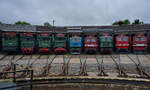 Parade einiger E-Loks des Thüringer Eisenbahnvereins. Am 26.07.2025 waren 144 507, 204 011, 244 103 und 105, 211 028, 211 030 und 049, 242 151 und 251 012 vor dem Lokschuppen in Weimar ausgestellt. Anlass war das Sommerfest des Vereins.