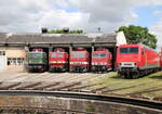 TEV 211 049-2 + DB Museum 242 151-9 + 243 117-9 + TEV 250 250-8 und die FWK 156 001-0, am 28.05.2022 beim Eisenbahnfest des Thüringer Eisenbahnvereins im ehem.