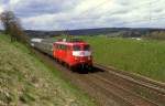 110 426  bei Eutingen  22.04.99