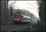 Dichter Baumbestand verhindert hier am 13.3.2007 den Lichteinfall.