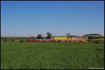 110 484 befrdert am Morgen des 13.05.08 RB 37152 von Donauwrth nach Aalen, aufgenommen kurz vor Mttingen an der Riesbahn (KBS 995).