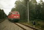 Nach der Ankunft des Nachtzuges mute 110 289 im Oktober 2005 in Binz wieder umsetzten.Da es in Binz keine Fussgngerbrcke oder einen Bahnsteigtunnel gibt,entstand die Aufnahme von einem berweg der