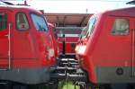 Die Elektroloks 115 323-8, 110 236-7, 120101-1 und 120 121-9 sauber geordnet, abgestellt am 12.7.2006 in gleiender Sonne im Bahnhof Rostock.