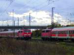 111 099 mit RE nach FFM kreuzt 110 427 mit RE von FFM am 18.11.06 in Biblis.