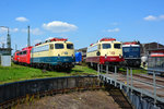 110 300-1, 114 488-0 und E 10 121 vor der Drehscheibe im DB-Museum Koblenz-Lützel 19.07.2016