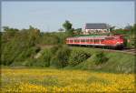 110 454-6 war am 7.05.2009 mit ihrer RB auf der Strecke Donauwrth-Aalen unterwegs. Hier hat sie mit ihrem Zug gerade den Bahnhof Goldshfe verlassen und fhrt durch die blhenden Wiesen in Aalen-Oberalfingen hindurch dem Zielbahnhof Aalen entgegen.