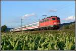 In schnem Abendlicht eilt 110 321 pnktlich mit ihrem IC 2054 nach Saarbrcken am Tabakfeld bei Ltzelsachsen vorbei.