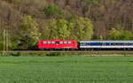 110 198	mit dem DLr ***** (Tübingen Hbf - Stuttgart Hbf?) bei Tübingen Lustnau 12.4.24