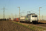 111 222 bei Hürth am 27.02.2019