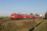 111 212 der DB Regio AG war am 05. November 2020 mit dem Regionalexpress 10420 von Dortmund Hauptbahnhof nach Aachen Hauptbahnhof unterwegs, hier zwischen Lindern und Geilenkirchen in Höhe der Einfahrsignale der Gegenrichtung.