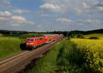 111 207 mit einem RE nach Nrnberg am 28.05.2013 bei Dettenhofen.