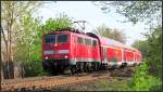 Nun ist er da,der Frühling ,und er zeigt seine Farbpracht als Kontrast zum rollenden Material. Hier rollt der Wupper Express (RE4)mit der 111 151-7 als Zugpferd an mir vorbei,im Gleisbogen bei Rimburg auf der Kbs 485 unweit der niederländischen Grenze am 21.April 2015.