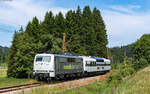 111 222 mit dem DPE 88595 (Neustadt(Schwarzw) - Freiburg Hbf) bei Hinterzarten 21.6.25