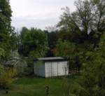 RE 92090 von Cottbus nach Wismar  k�mpft  sich durch die gr�nende Landschaft im S�den Bestensee&acute;s.