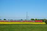 SH-Express Richtung Hamburg kurz vor Neum�nster im Rapsfeld.