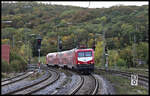 Vom Bahnsteig Ende aus konnte ich die einfahrende WFL 112131-8 mit dem RE nach Würzburg am 28.10.2023 um 10.46 Uhr in Steinach bei Rothenburg ob der Tauber im Bild festhalten.