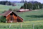 113 266 bei Uffing 30.04.94