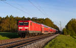 114 013	mit dem RE 4175 (Treysa – Frankfurt(Main)Hbf) bei Pohl Göns 3.5.23  