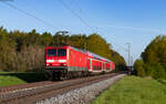 114 029 und 114 022 mit der RB 15075 (Gießen – Hanau Hbf) bei Pohl Göns 3.5.23  