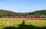 114 011 und 114 037 mit dem RE 4529 (Fulda - Frankfurt Hbf) bei Wirtheim 13.5.25