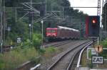 POTSDAM, 18.08.2010, 114 035-9 als RE1 nach Frankfurt (Oder) fährt am S-Bahnhof Griebnitzsee vorbei    