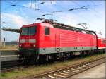 Die f�r 160 km/h umgebaute 114 101 (Bh Magdeburg) am RB26370 Falkenberg/Elster - Dessau Hbf.