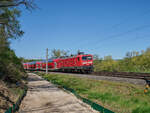 Am 22.04.2026 zog 114 011 RE 15213 von Limburg nach Frankfurt. Kurz vor Lindenholzhausen legt sich der Zug in die Kurve.