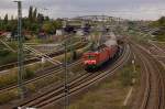 01.10.2009 114 033-4 mit RE3 nach Elsterwerda unterwegs,im ehemaligen Grenzstreifen kurz vor Berlin-Gesundbrunnen.