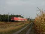 114 011 mit RE 3 bei Doberlug-Kirchhain, 20.08.2012