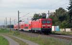 114 028 oblag am 04.10.13 die Bespannung eines RE von Halle(S) nach Magdeburg, fotografiert in Braschwitz.