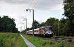 115 509-2 fuhr am 24.08.2014 mit dem IC 2331 von Köln nach Emden, hier in Eisinghausen bei Leer.