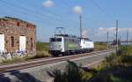 139 558 von Railadventure berfhrte am 28.09.13 193 901 durch Brehna Richtung Halle(S).
