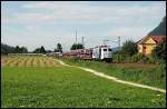 Eine 139er  Zebra  bei Niederaudorf. Aufgenommen im September 2008.