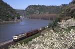 Frhling im Rheintal vor 23 Jahren: 140 598 ist am 23.04.1988 an der Loreley sdwrts unterwegs.