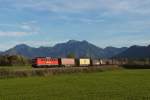 Am 22.10.13 konnte ich bei Bernau am Chiemsee die DB 140 368 mit dem EZ 56498 (Freilassing - Rosenheim)  vor der Kulisse der Bayrischen Alpen aufnehmen.