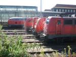 Eingeparkte Lok`s die Nasen in Wanne Eickel Hbf.