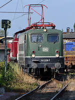 Die 1962 bei Henschel gebaute Elektrolokomotive 141 228-7 ist hier Mitte September 2019 im Eisenbahnmuseum Darmstadt-Kranichstein zu sehen.