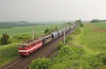 142 110-6 (EBS) und 142 145-2 (EBS) zu sehen mit einem Getreidezug am 01.06.16 bei Ruppertsgrün bei Werdau.