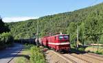 Am 03.07.18 fuhren 242 110-5 und 242 145-1 der EBS einen Kesselzug von Großkorbetha nach Neustadt/Donau duch Hockeroda.