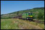 Die 142 130 der Bayernbahn erreicht in wenigen Minuten Würzburg. Hier passiert die Lok mit ihrem Henkelzug gerade Thüngersheim im Maintal. 01.08.2013