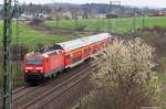 Irgendwo fängt der Frühling an, auch wenn die Landschaft sonst noch eher trist wirkt. Hier an einem Busch hinter Feilitzsch am 08.04.2016. Und vorbei fährt die 143 885 mit dem damaligen RE3 nach Dresden...