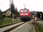 143 810-0 am Zugschluss der RegionalBahn aus Freiburg(Brsg)Hbf am B 28 zwischen Hinterzarten und Titisee.